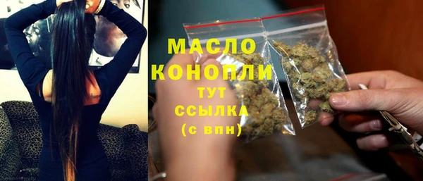 соль ск Дубна