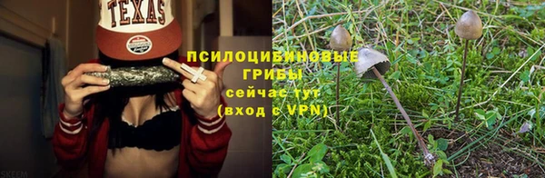 MESCALINE Новокубанск