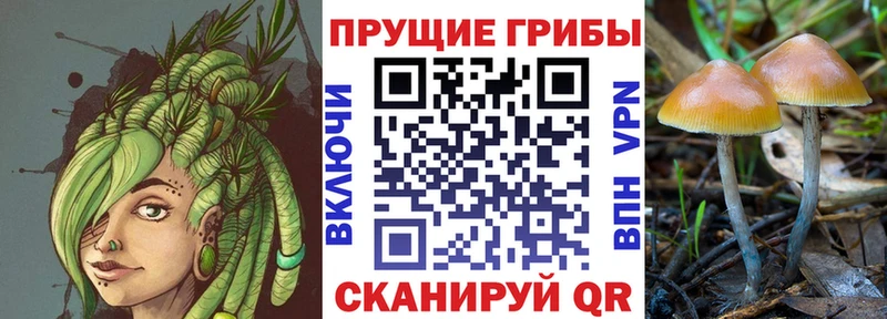 Галлюциногенные грибы Cubensis Советский
