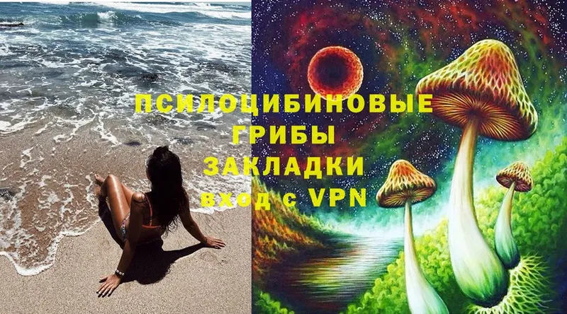 Галлюциногенные грибы Magic Shrooms  Советский 