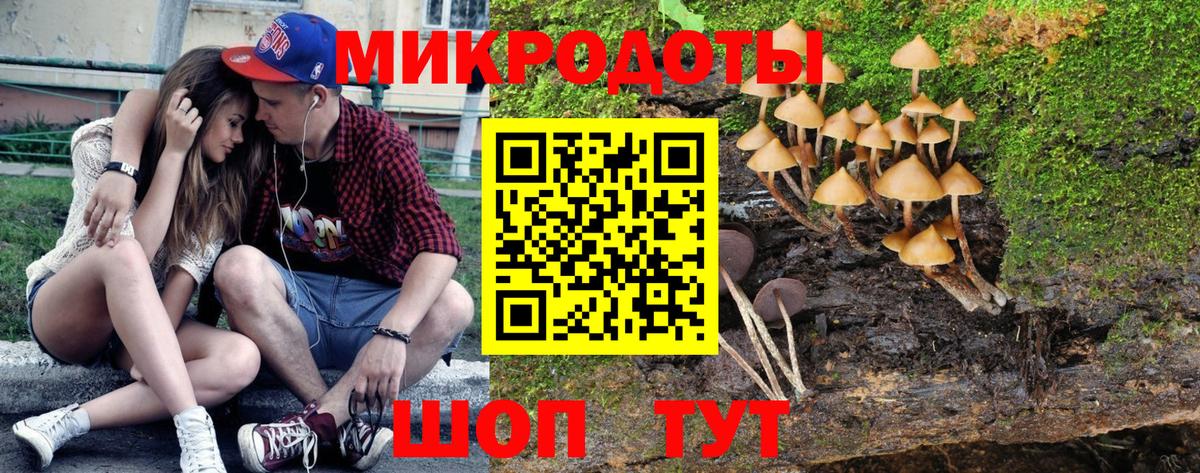 Галлюциногенные грибы Magic Shrooms  хочу   Советский 