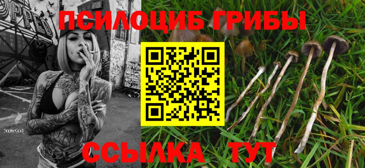 Галлюциногенные грибы мицелий  Вход с VPN  Советский 