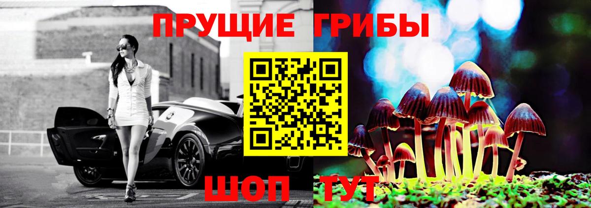 Галлюциногенные грибы Psilocybine cubensis Советский