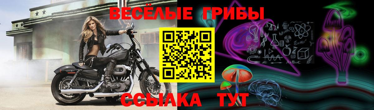 Галлюциногенные грибы прущие грибы Советский