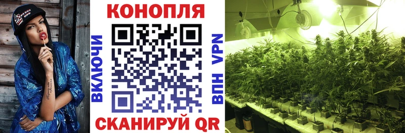 Канабис семена  продажа наркотиков  сайты даркнета как зайти  Советский 